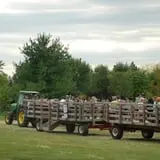 All Seasons Orchard photo