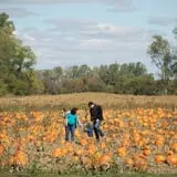 All Seasons Orchard photo