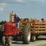 All Seasons Orchard photo