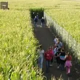 All Seasons Orchard photo