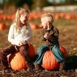 All Seasons Orchard photo