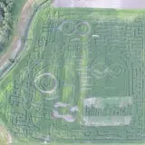 All Seasons Orchard photo