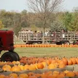 All Seasons Orchard photo