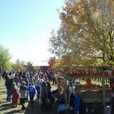 All Seasons Orchard photo