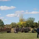 All Seasons Orchard photo