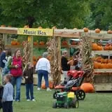 All Seasons Orchard photo