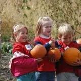 All Seasons Orchard photo
