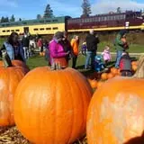 North Shore Scenic Railroad photo
