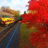 North Shore Scenic Railroad photo