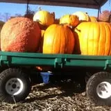 Rose's Berry Farm Pumpkin Patch & Hayride photo