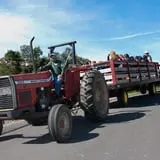 Rose's Berry Farm Pumpkin Patch & Hayride photo