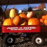 Rose's Berry Farm Pumpkin Patch & Hayride photo