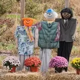 Rose's Berry Farm Pumpkin Patch & Hayride photo