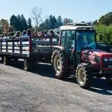 Rose's Berry Farm Pumpkin Patch & Hayride photo