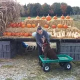 Rose's Berry Farm Pumpkin Patch & Hayride photo