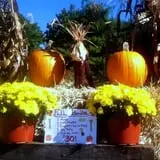 Rose's Berry Farm Pumpkin Patch & Hayride photo