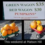Rose's Berry Farm Pumpkin Patch & Hayride photo