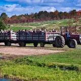 Rose's Berry Farm Pumpkin Patch & Hayride photo