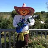 Rose's Berry Farm Pumpkin Patch & Hayride photo
