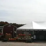 Rose's Berry Farm Pumpkin Patch & Hayride photo