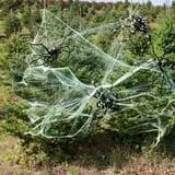 Rose's Berry Farm Pumpkin Patch & Hayride photo
