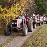 Rose's Berry Farm Pumpkin Patch & Hayride photo