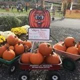 Rose's Berry Farm Pumpkin Patch & Hayride photo