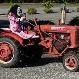 Rose's Berry Farm Pumpkin Patch & Hayride photo