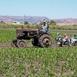 Terror in the Corn at Swank Farms photo