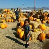 Terror in the Corn at Swank Farms photo