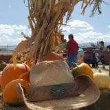 Terror in the Corn at Swank Farms photo