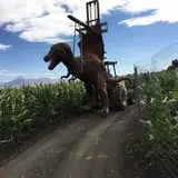 Terror in the Corn at Swank Farms photo