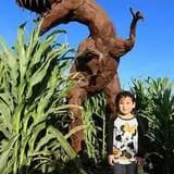 Terror in the Corn at Swank Farms photo