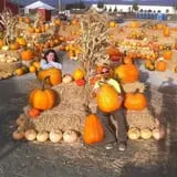 Terror in the Corn at Swank Farms photo