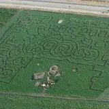 Terror in the Corn at Swank Farms photo