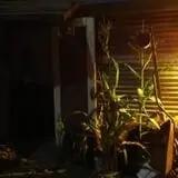 Terror in the Corn at Swank Farms photo