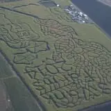 Terror in the Corn at Swank Farms photo