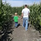 Terror in the Corn at Swank Farms photo