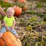 Nielsen Kids U-Pick Pumpkin & Sweetcorn Patch photo
