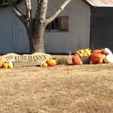 Nielsen Kids U-Pick Pumpkin & Sweetcorn Patch photo