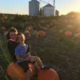 Nielsen Kids U-Pick Pumpkin & Sweetcorn Patch photo