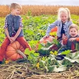 Nielsen Kids U-Pick Pumpkin & Sweetcorn Patch photo