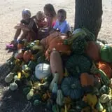 Nielsen Kids U-Pick Pumpkin & Sweetcorn Patch photo