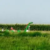 Nielsen Kids U-Pick Pumpkin & Sweetcorn Patch photo