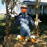 Nielsen Kids U-Pick Pumpkin & Sweetcorn Patch photo