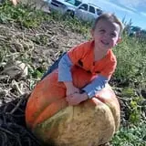 Nielsen Kids U-Pick Pumpkin & Sweetcorn Patch photo