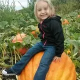 Nielsen Kids U-Pick Pumpkin & Sweetcorn Patch photo