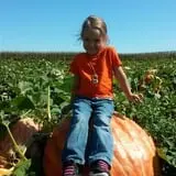 Nielsen Kids U-Pick Pumpkin & Sweetcorn Patch photo