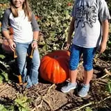 Nielsen Kids U-Pick Pumpkin & Sweetcorn Patch photo