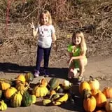 Nielsen Kids U-Pick Pumpkin & Sweetcorn Patch photo